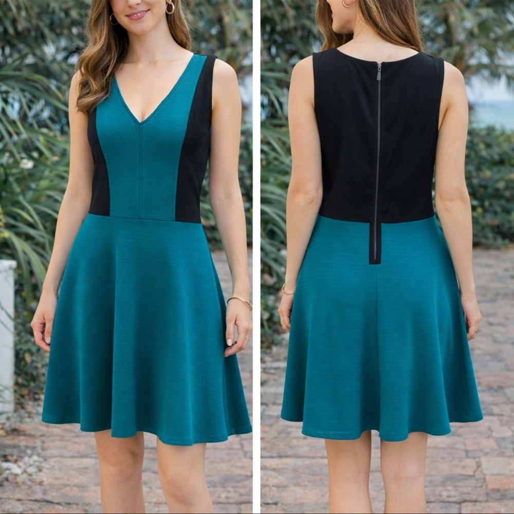 Color-block Fit and Flair Dress